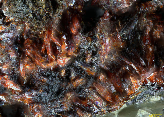 Montroydite & Edgarbaileyite