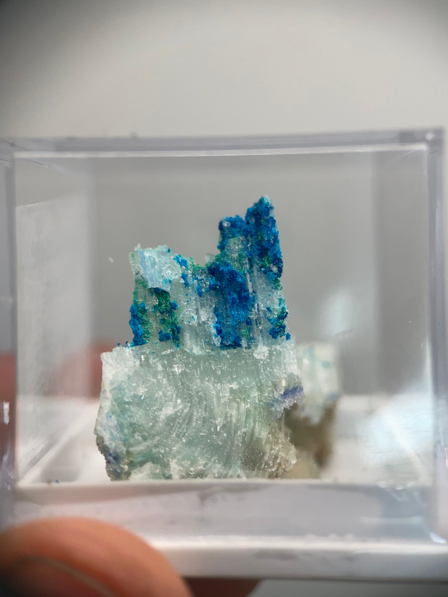 Ammineite & Shilovite