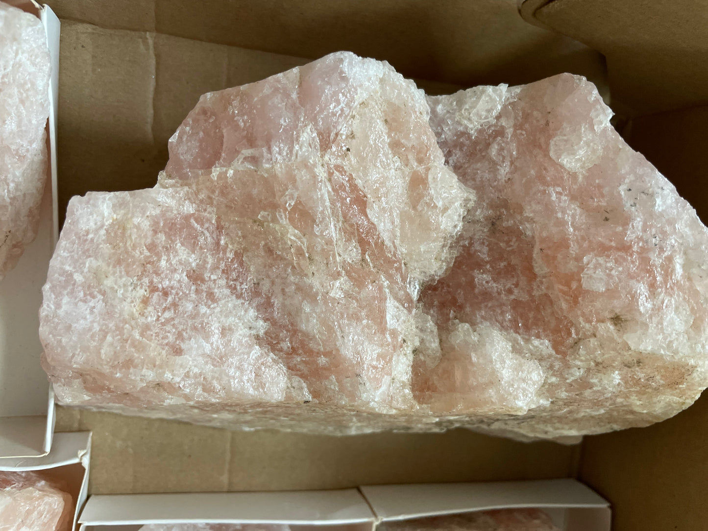 Morganite XL Flat