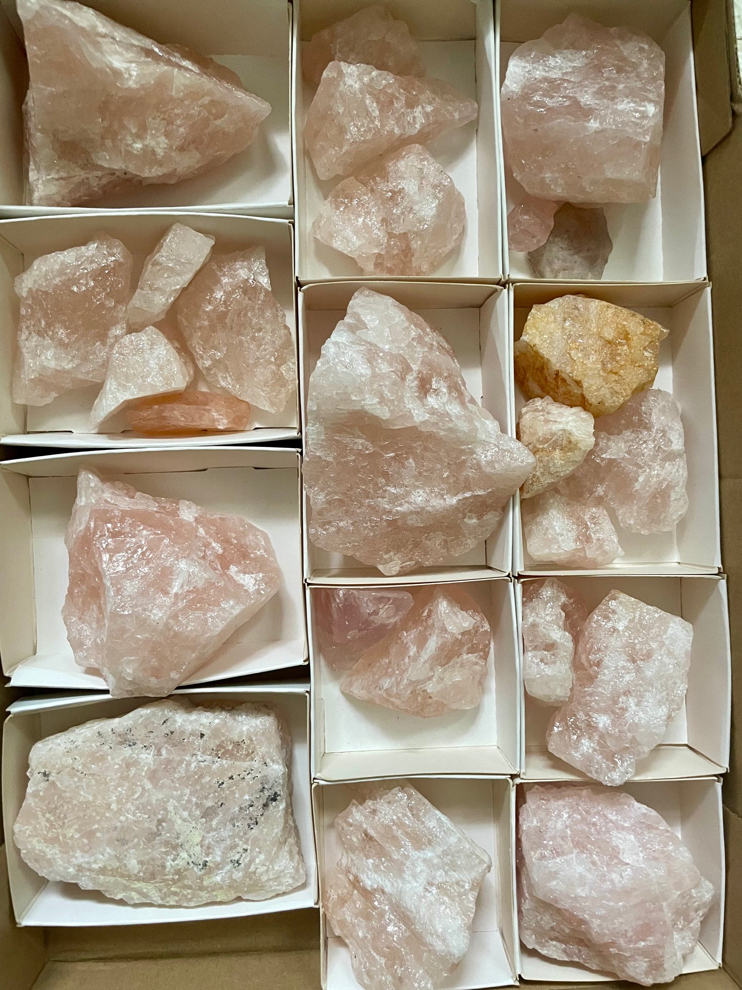 Morganite S-size