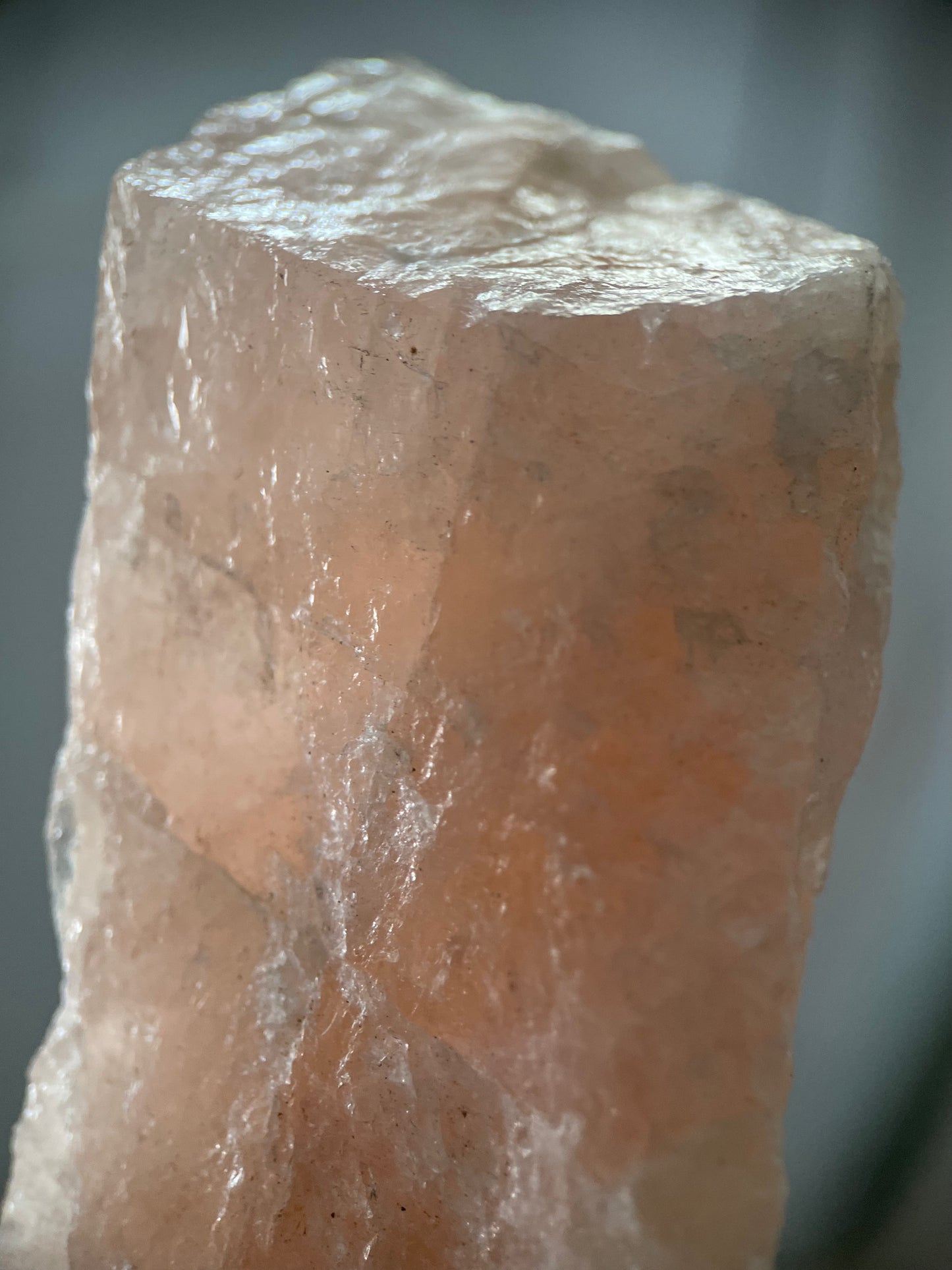Morganite M-size