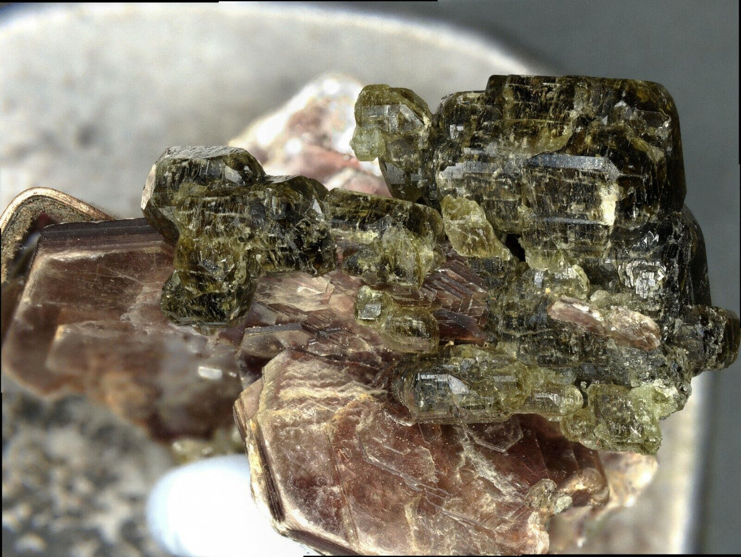 Apatit / Apatite Conselheiro, Minas Gerais, Brasilien / Brazil