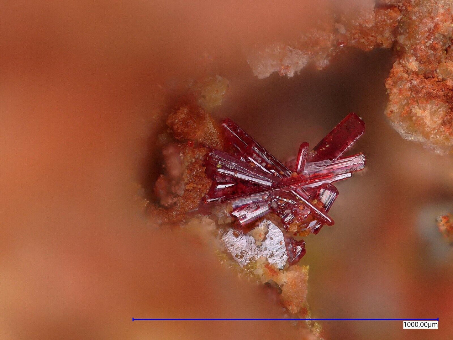 Phoenicochroit, Schwartzembergit La Union mine, Sierra Gorda, Antofagasta, Chile