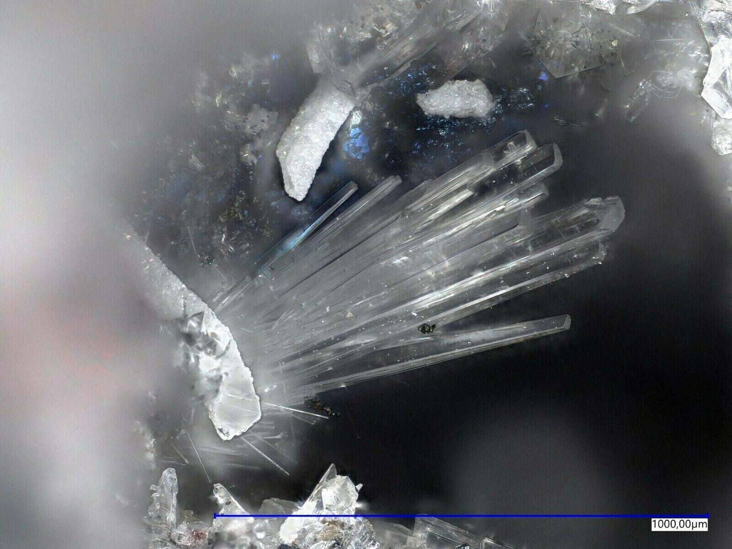 Topas xx 2 Farben Emmelberg Übersdorf Deutschland