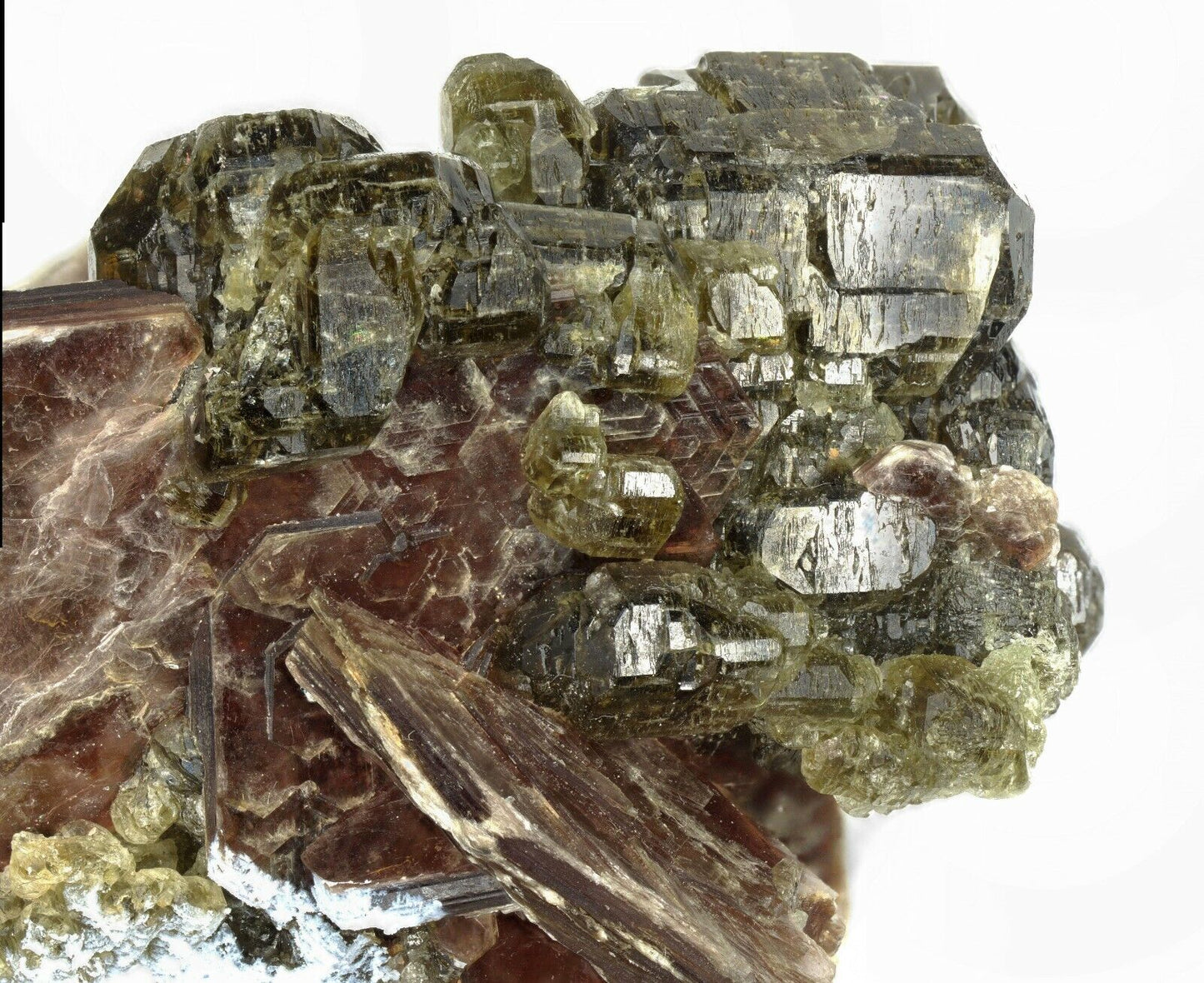 Apatit / Apatite Conselheiro, Minas Gerais, Brasilien / Brazil