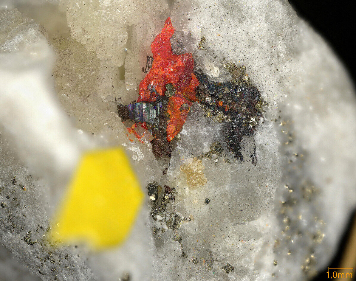 Hendekasartorite Lengenbach quarry, Binn Valley, Switzerland