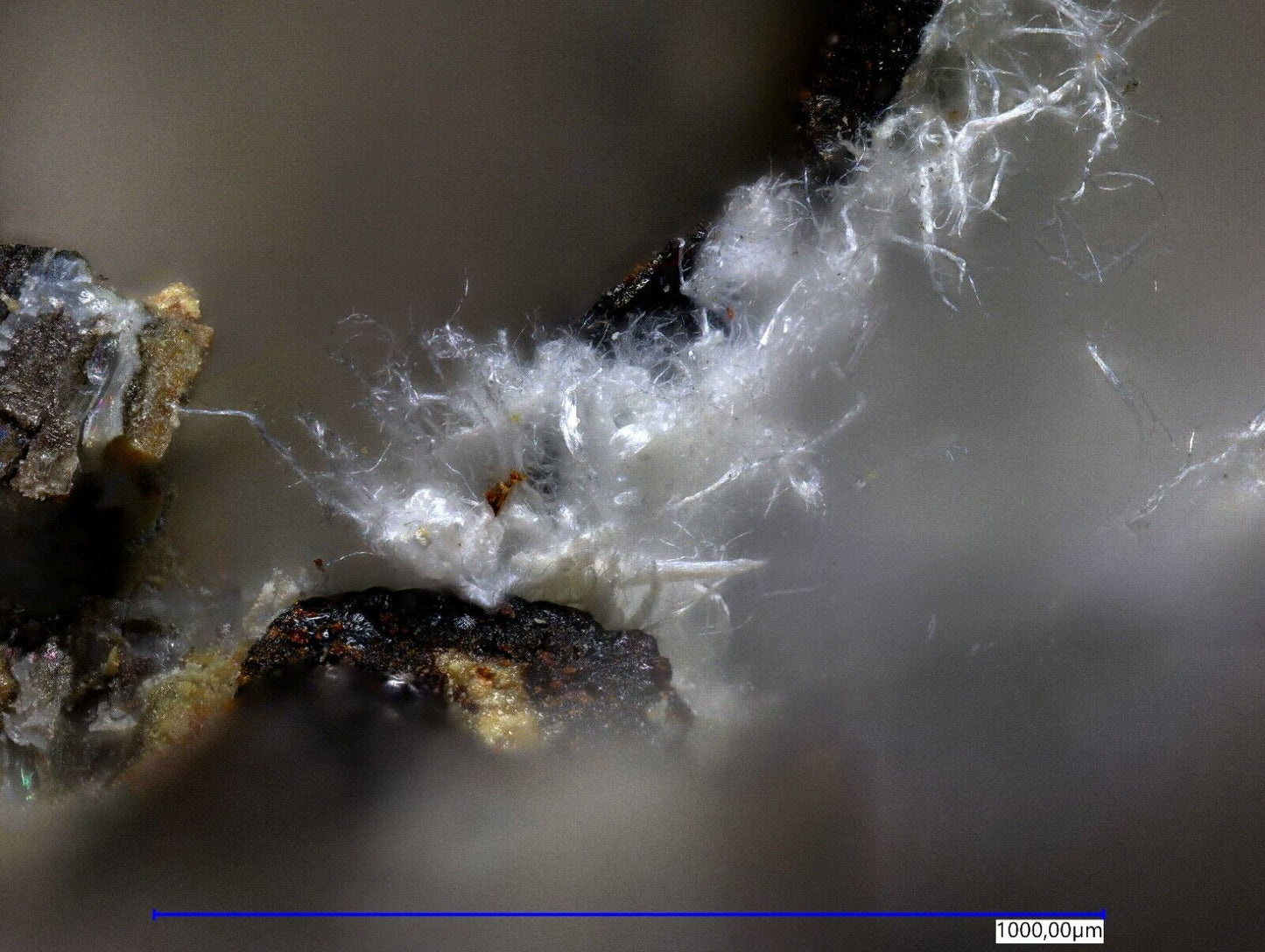 Tavagnascoite Esmoraca District, Lipez Prov., Potosi, Bolivia