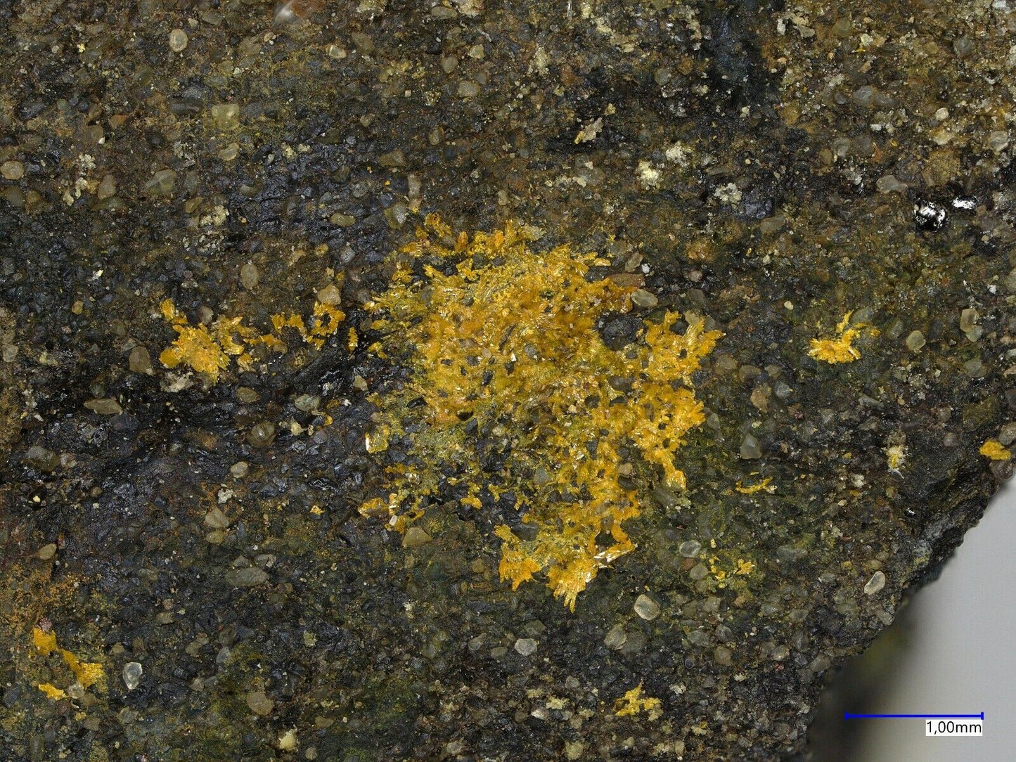 Kokinosite & Hughesite Little Eva mine, Utah, USA EDX untersucht