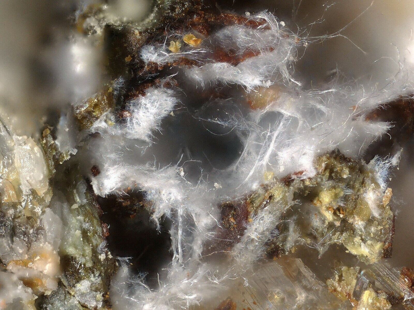 Tavagnascoit - Tavagnascoite Esmoraca district, Sud Lipez Provinz, Bolivien