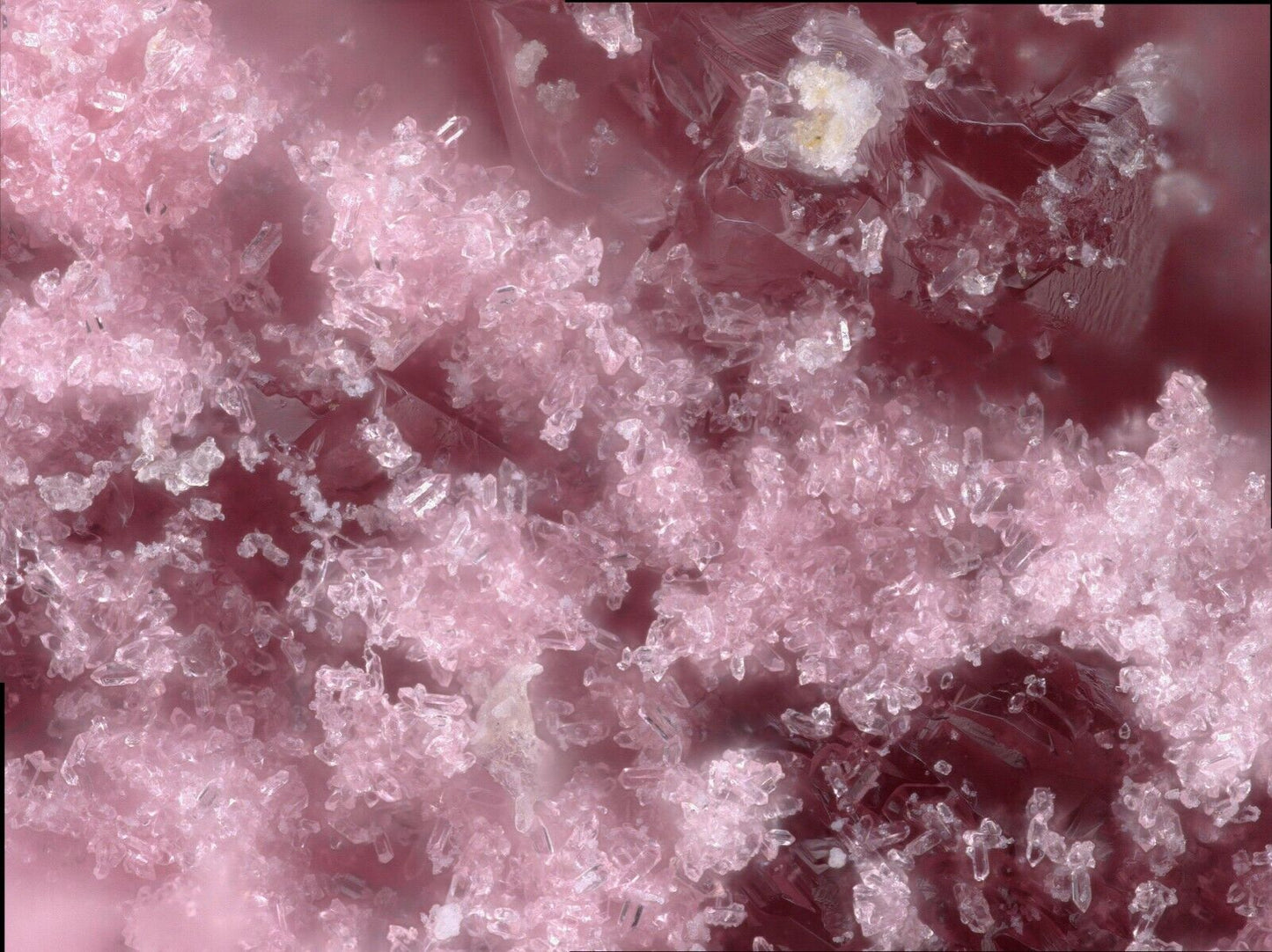 Tinsleyit Morro Mejillones, Mejillones, Chile