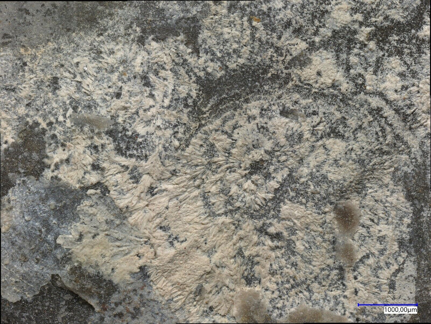 Carlfriesite High Grade Hill, Utah, USA