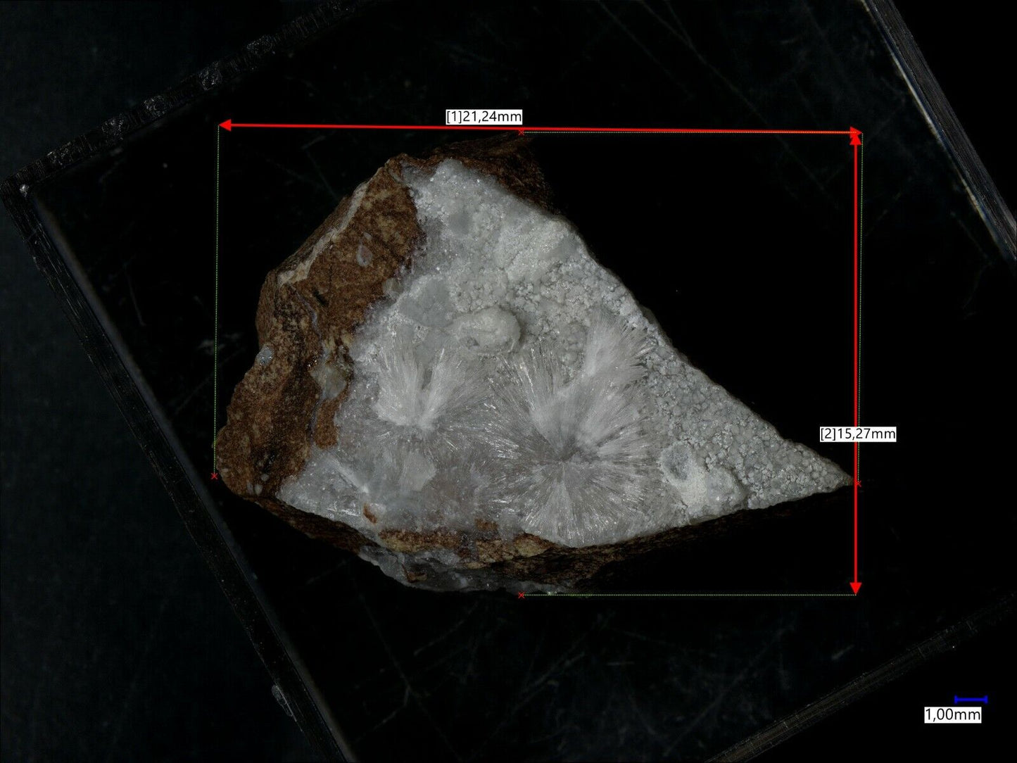 Brenkit Schellkopf, Brenk, Eifel, Deutschland