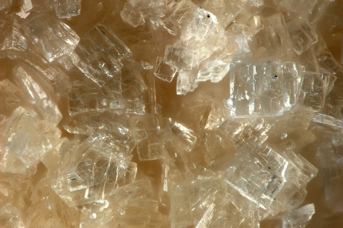 Lüneburgite Cerro Mejillones, Mejillones Chile - XRD analysed