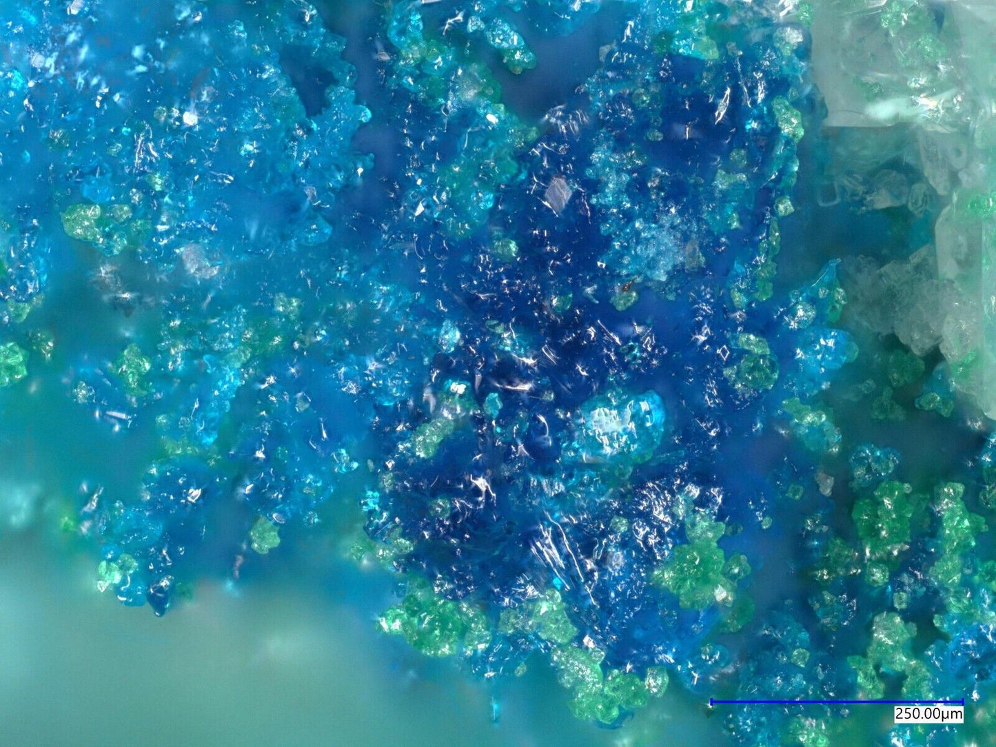 Ammineit - Ammineite Pabellon de Pica, Chanabaya, Tarapaca, Chile