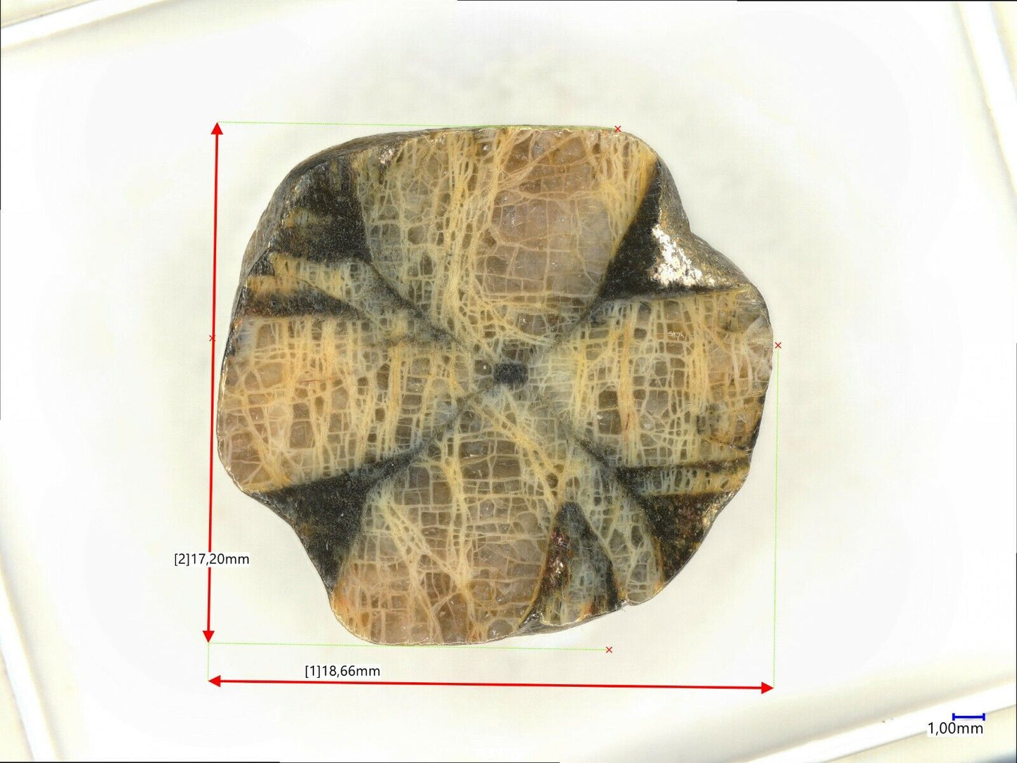 Andulasite Chivalingo quarry, Lota, Concepción Province, Bíobío, Chile