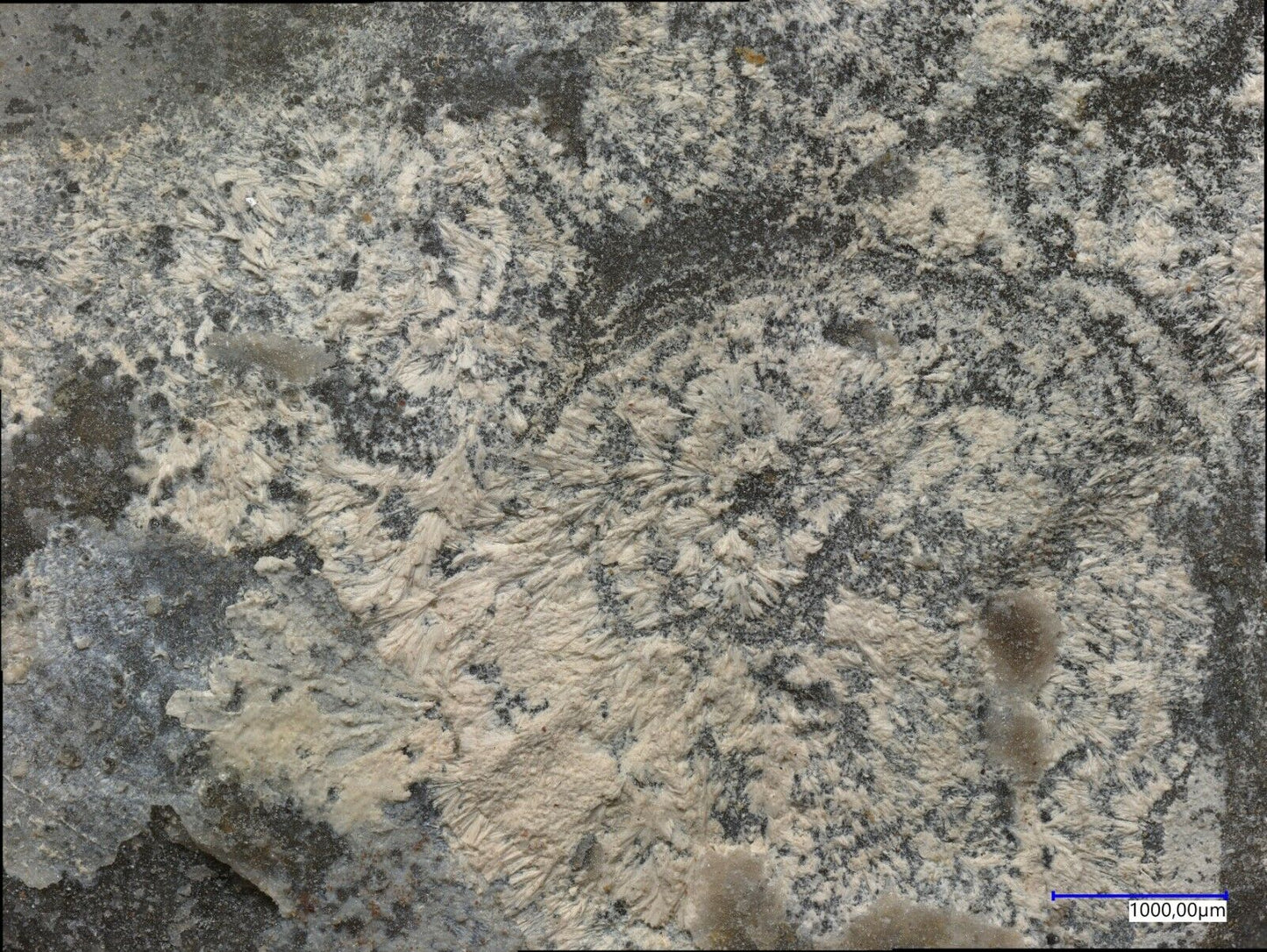 Carlfriesit High Grade Hill, Utah, USA