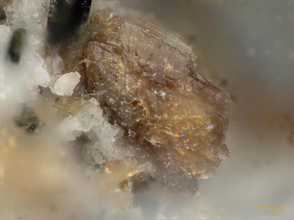 Steacyite Aris Quarries, Aris, Khomas Region, Namibia - SEM-EDS conf.