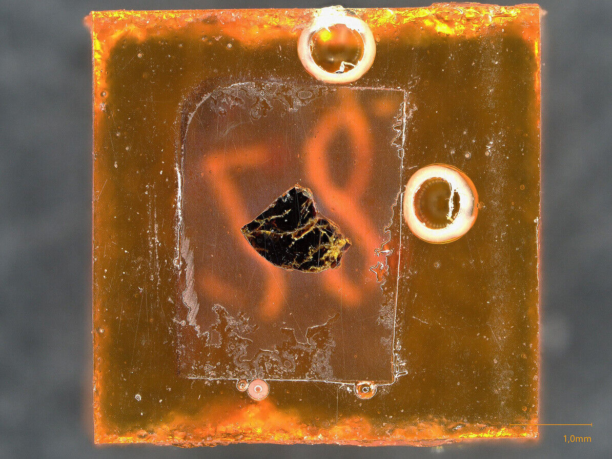 Bismuthopyrochlore The Mica Vein, SE-Pamir, Tadzhikistan - electron probed