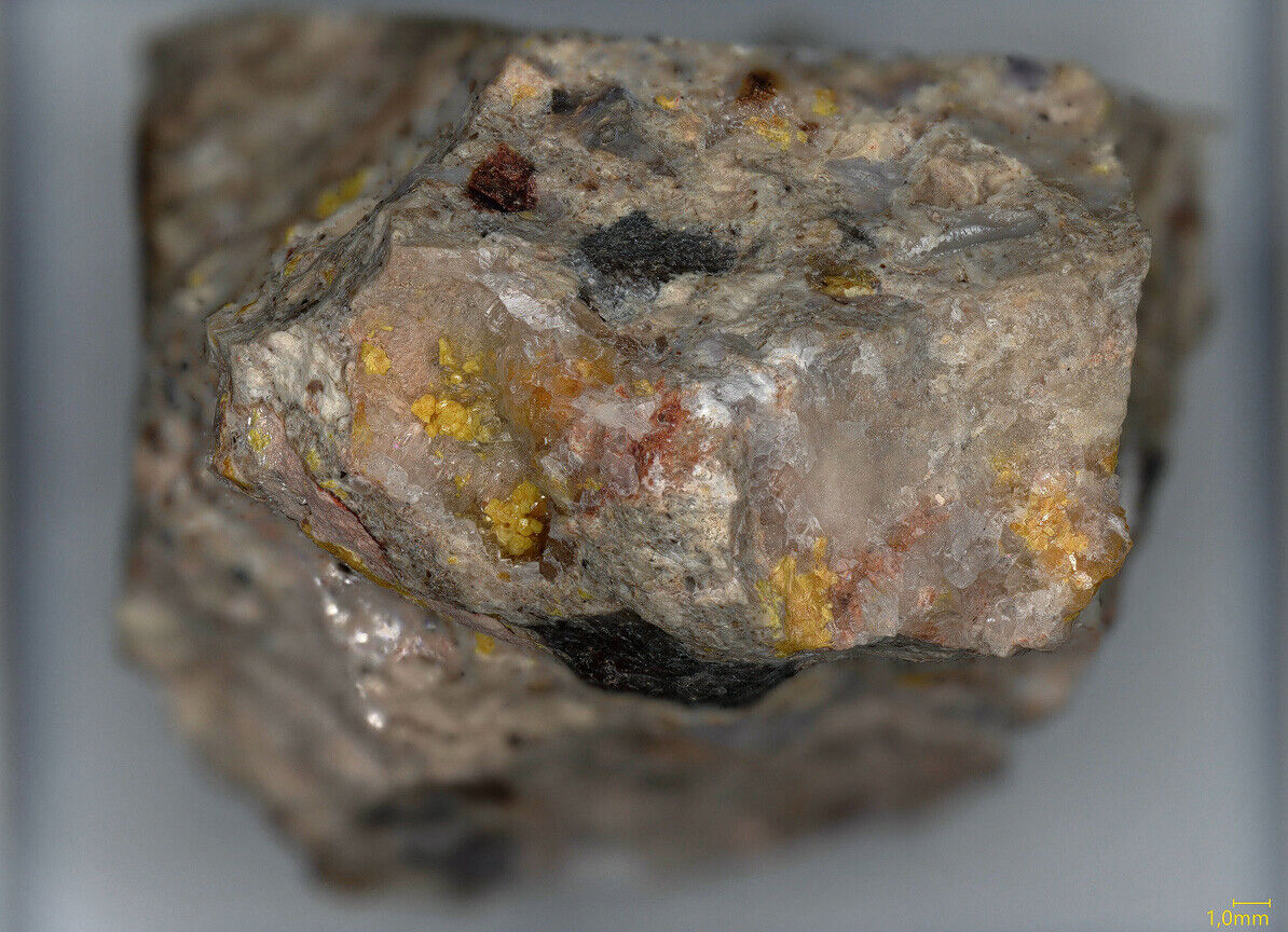 Kleinite Mc Dermitt mine, Nevada, USA