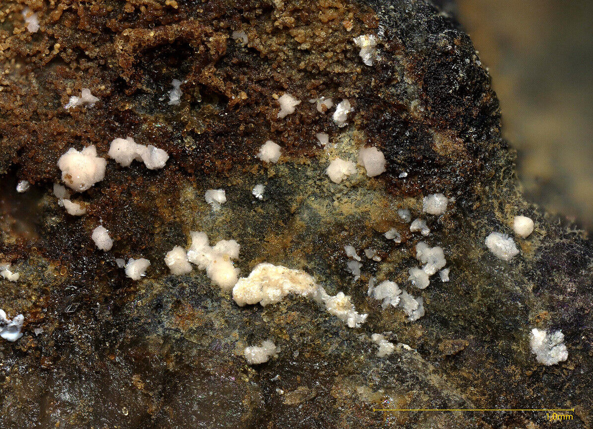 Gearksutite & Slikite Uranus mine, Saxony, Germany - EDS & Raman conf.