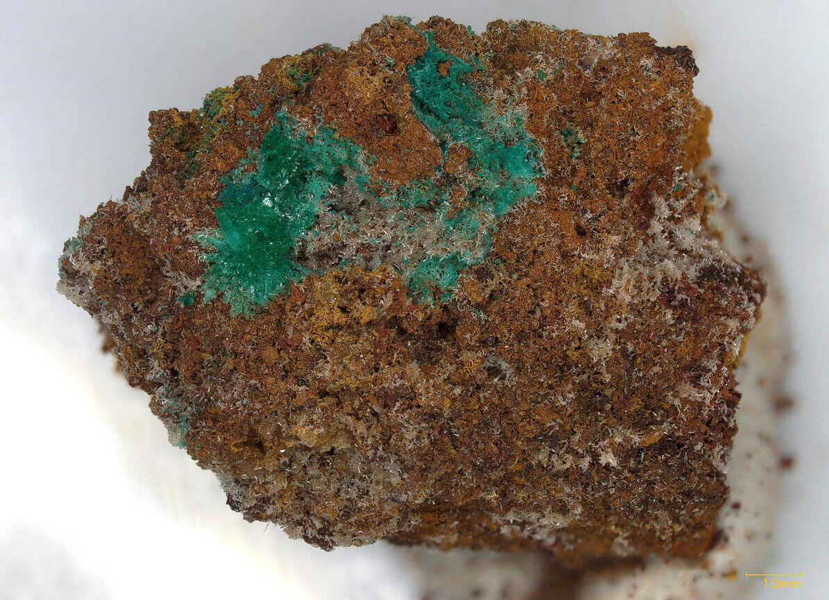 Kipushite & Philipsburgite - type locality - Kipushi, Katanga, DR Congo