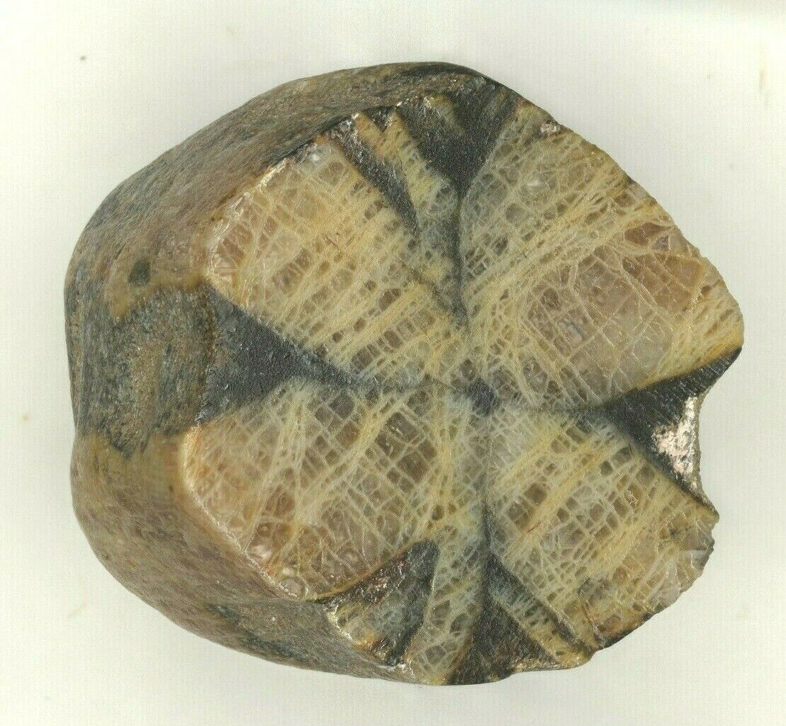 Andulasite Chivalingo quarry, Lota, Concepción Province, Bíobío, Chile