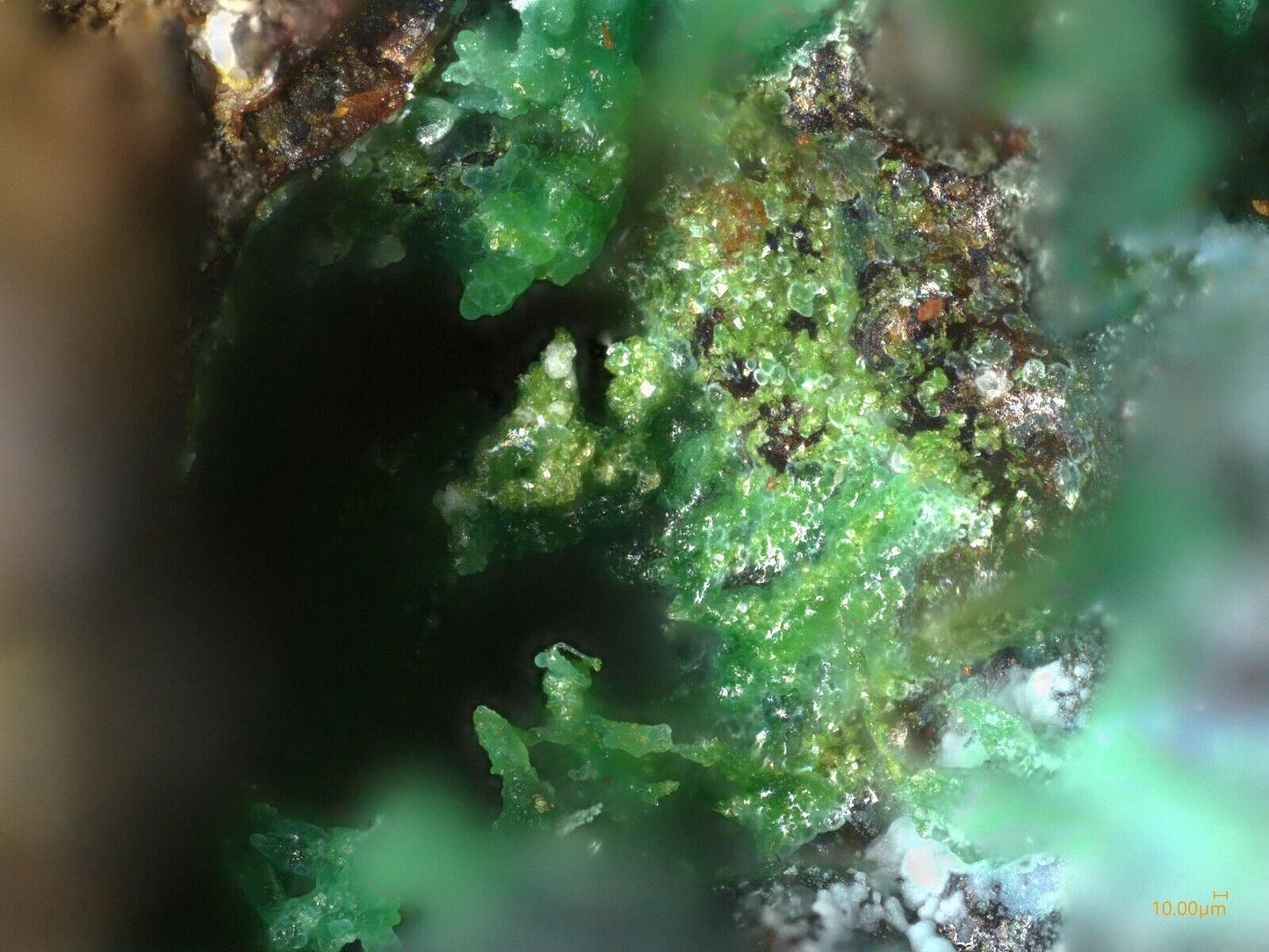 Favreauite, El Dragón mine, Potosi, Bolivia