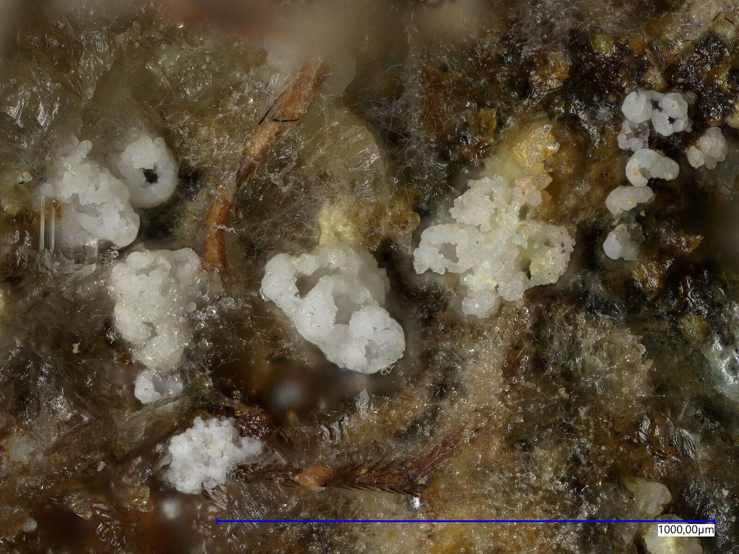 Gearksutite from the Uranus mine, Kleinrückerswalde, Saxony, Germany