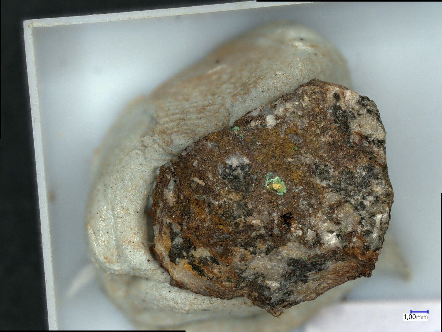 Corderoit / Corderoite Oriental Mine, El Hembrar, Spanien / Spain