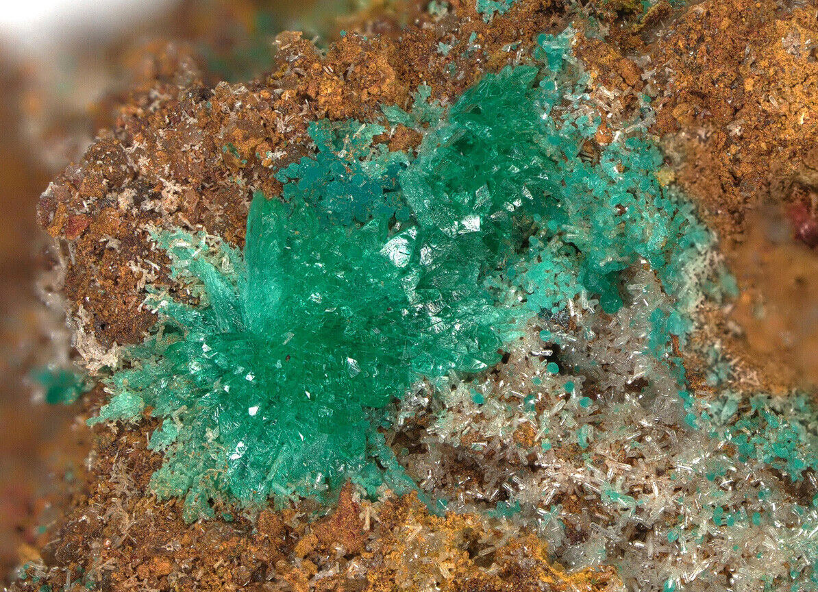 Kipushite & Philipsburgite - type locality - Kipushi, Katanga, DR Congo