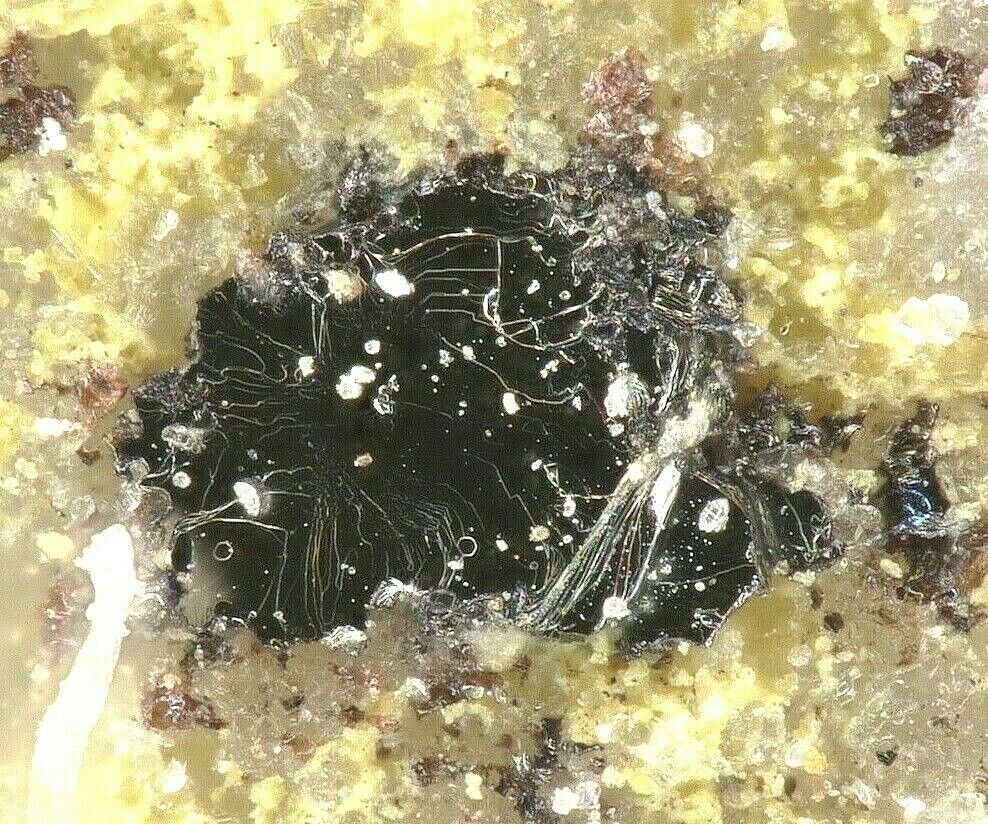 Telluronevskite Poruba pod Vihorlatom, Michalovce Co., Košice Region, Slovakia