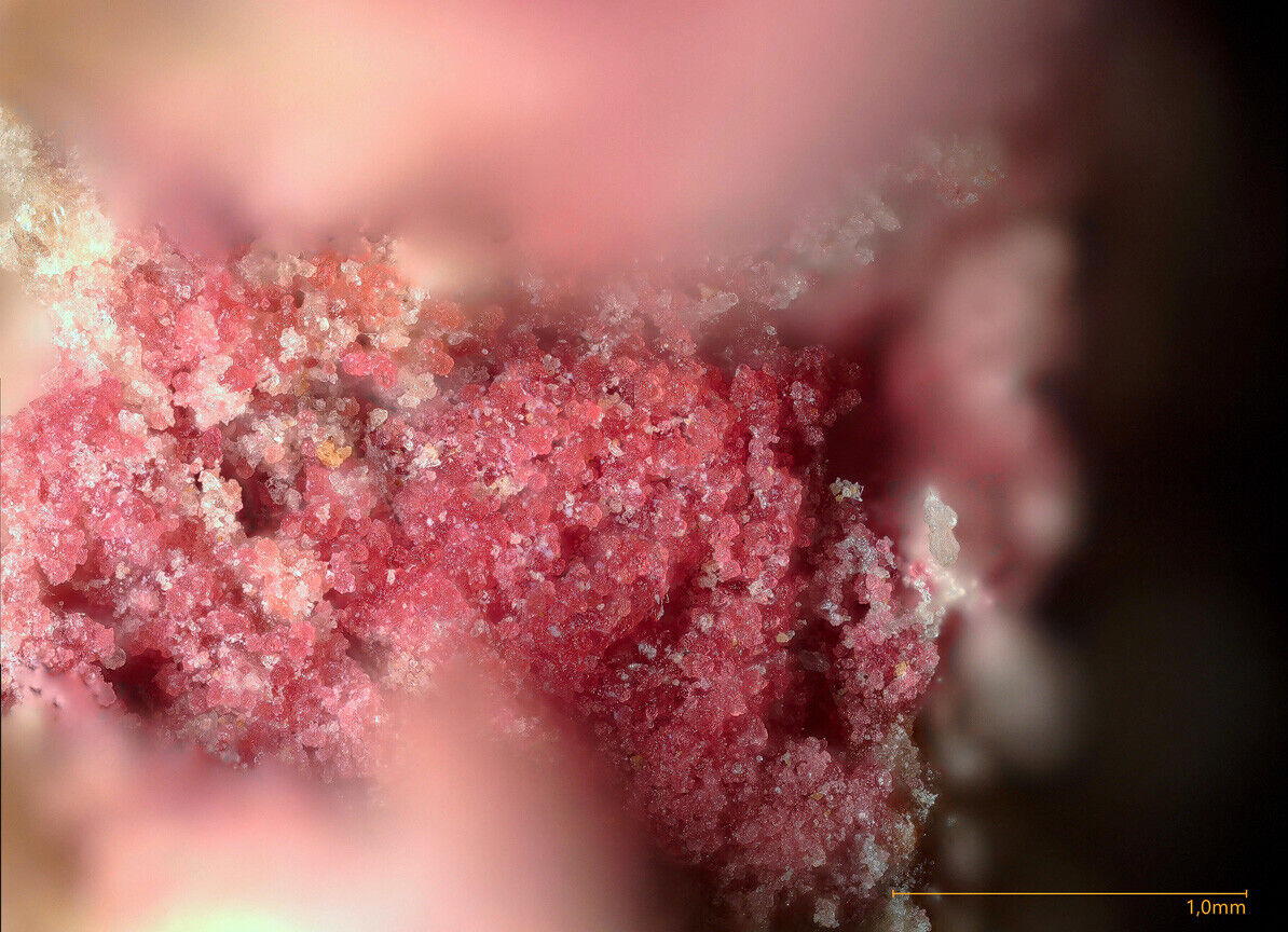 Ammoniotinsleyite Pabellón de Pica, Chanabaya, Chile - type material