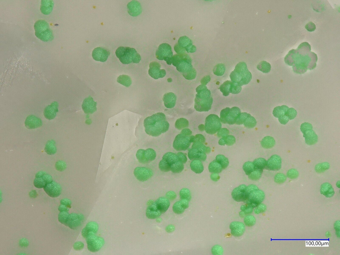 Tlapallit & Goldfieldit Raman & EDX untersucht North Star mine, Utah, USA