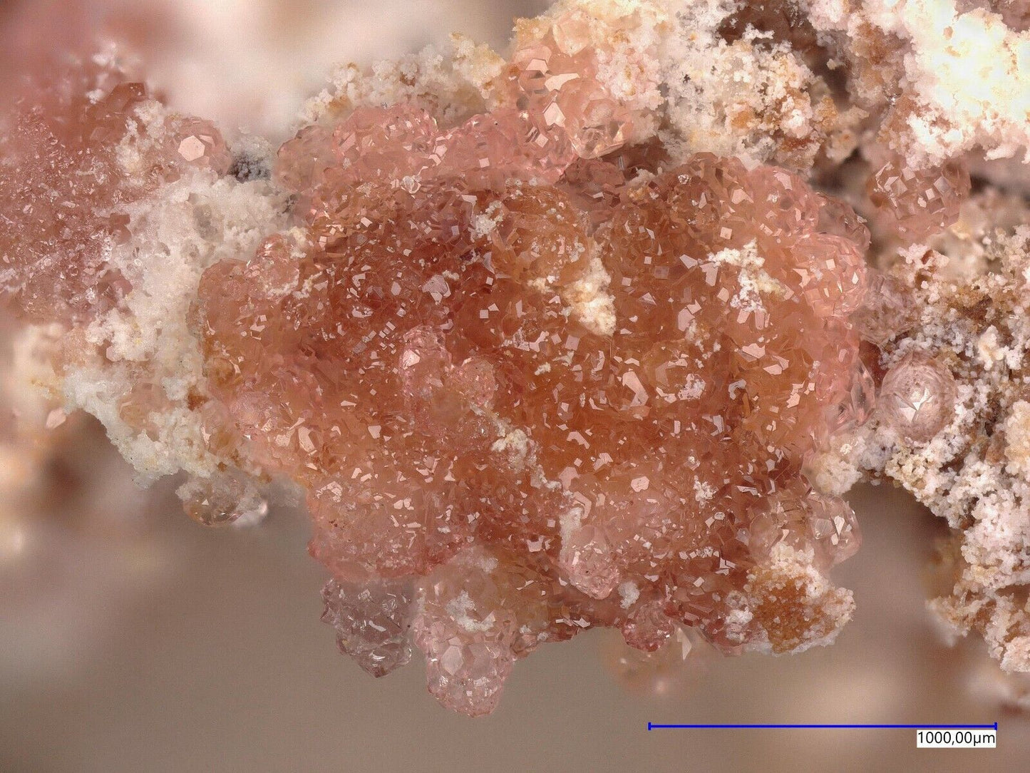 Variscite Mejillones Peninsula, Mejillones, Antofagasta Region, Chile