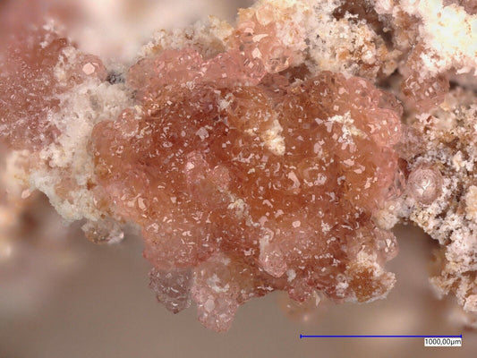 Variscite Mejillones Peninsula, Mejillones, Antofagasta Region, Chile