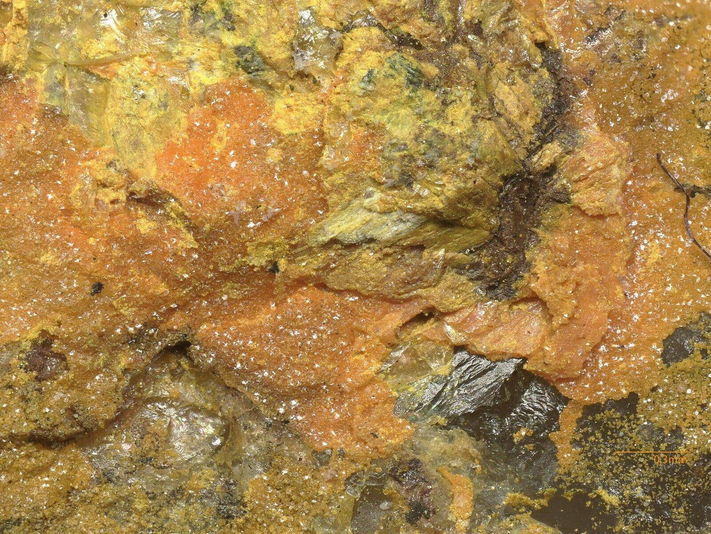 Pottsite & Clinobisvanite Linka Mine, Nevada, USA - SEM-EDS