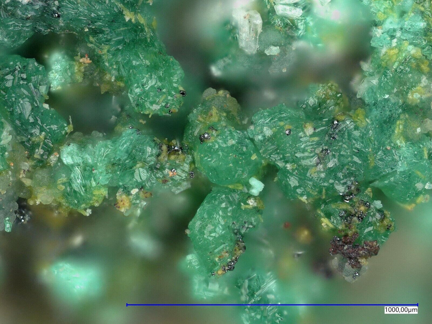 Urusovit & Euchlorin Tolbachik Vulkan, Kamchatka, Russland