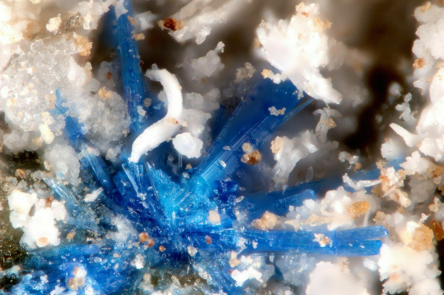 Chanabayaite Pabellon de Pica, Iquique, Chile