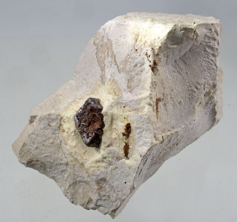 Limonite Psm Pyrite Burglengenfeld, Schwandorf, Upper Palatinate, Germany