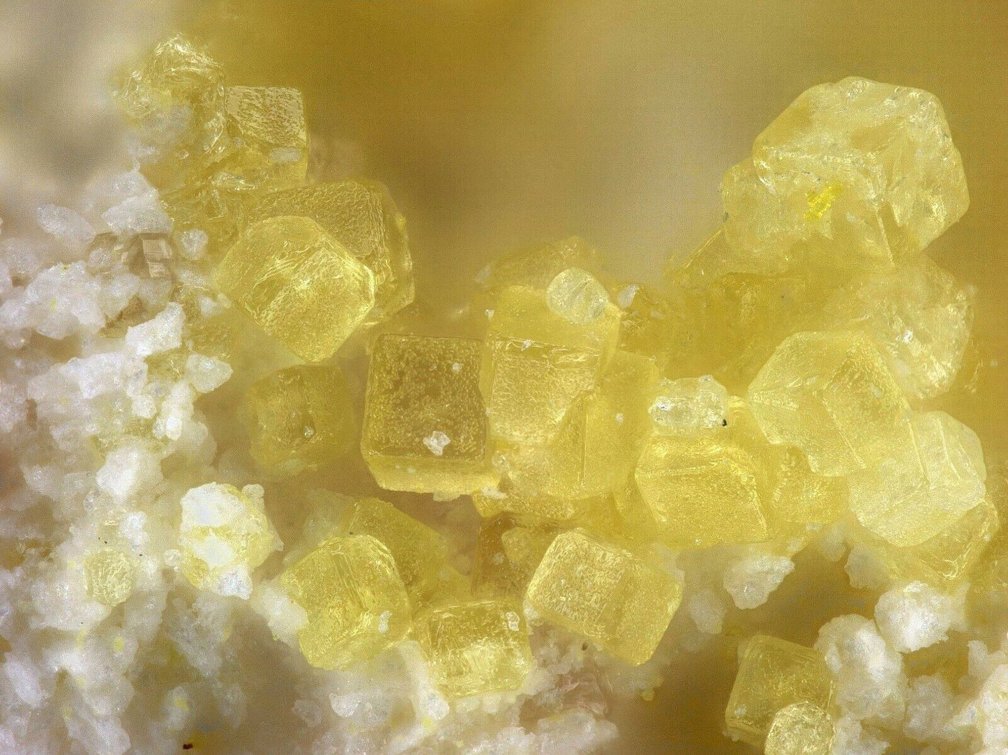 Pertlikit (Zn) / Magnesiovoltait, Alcaparrosa, Calama, Antofagasta, Chile