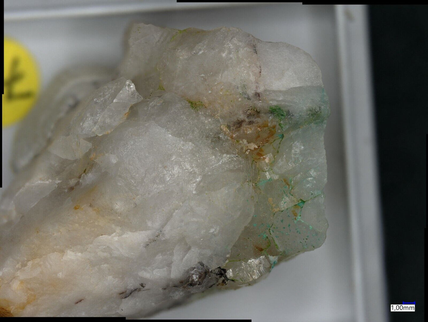 Mojaveit Bird Nest Drift, Otto Mountain, Baker, Kalifornien, USA