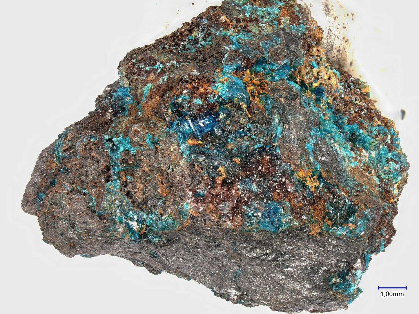 Ahlfeldit & Chalcomenit El Dragon mine, Quijarro, Bolivien