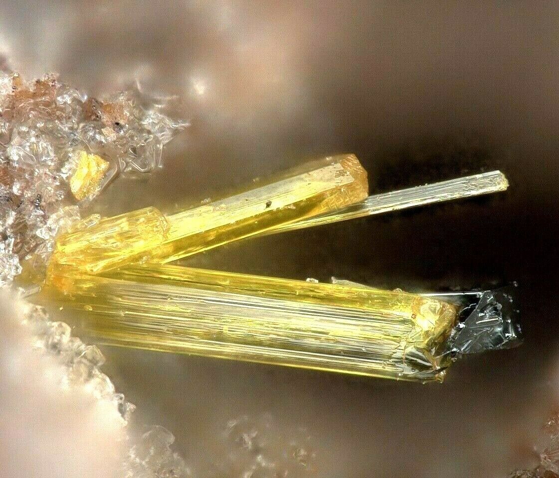 Topas xx 2 Farben Emmelberg Übersdorf Deutschland