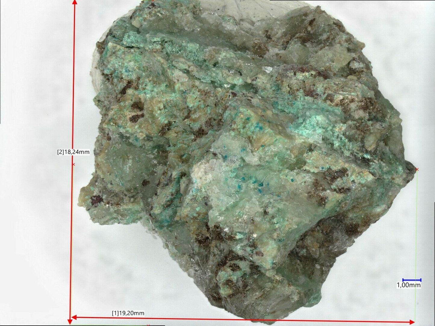 Haydeeit Haydee mine, Salar Grande, Chile