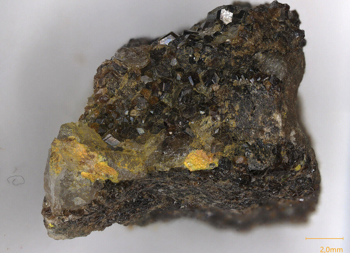 Clinobisvanite & Pottsite Linka mine, Spencer Hot Springs, Nevada, USA