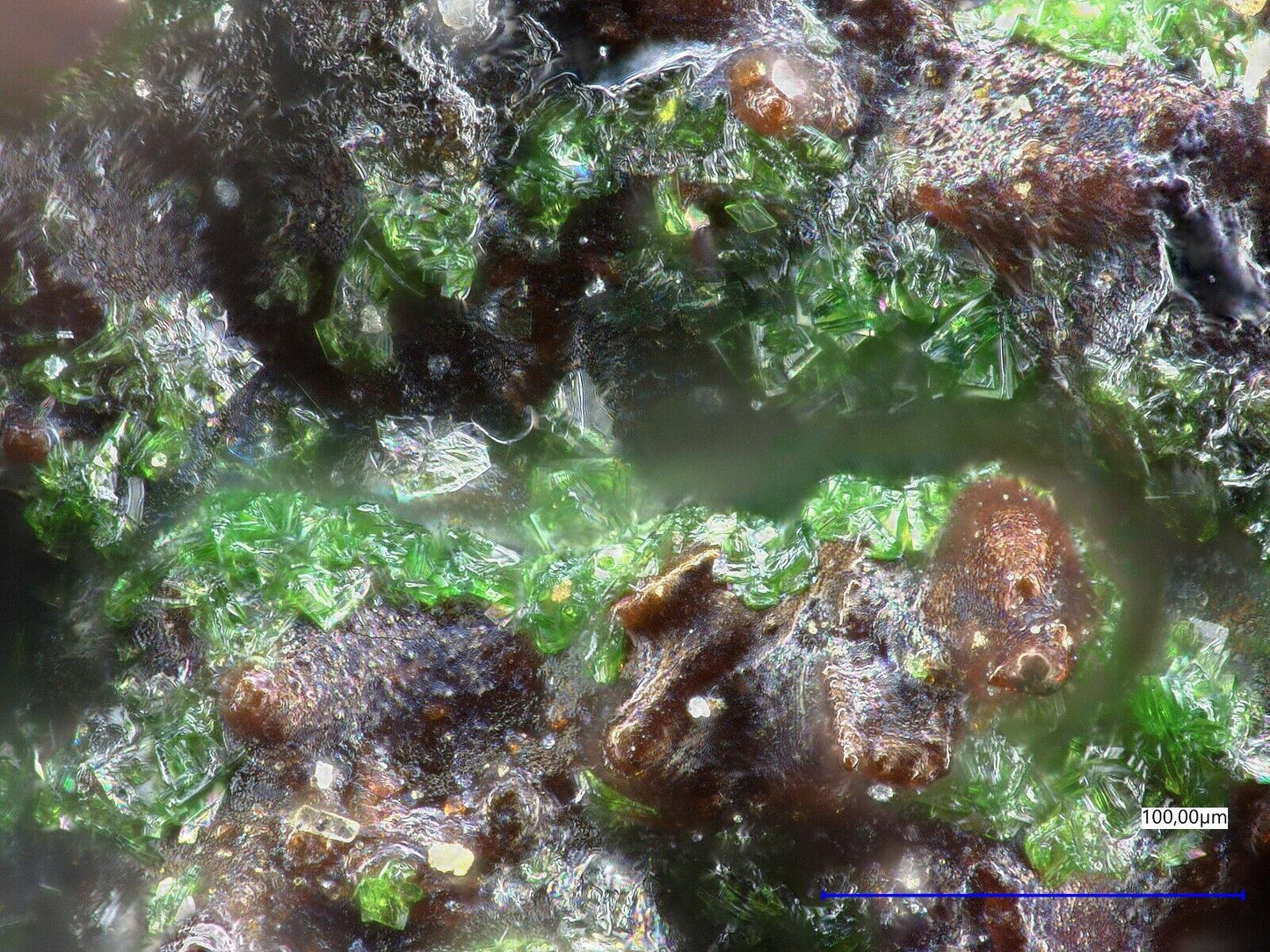 Favreauit El Dragon, Antonio Quijarro Prov., Potosi, Bolivien