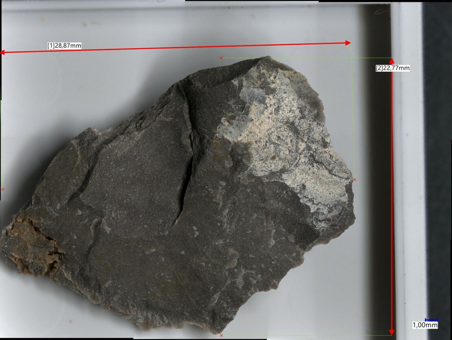 Carlfriesit High Grade Hill, Utah, USA