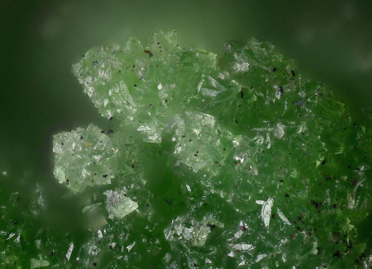 Austinite Tsumeb mine, Tsumeb, Namibia SEM-EDS & Raman MA1663