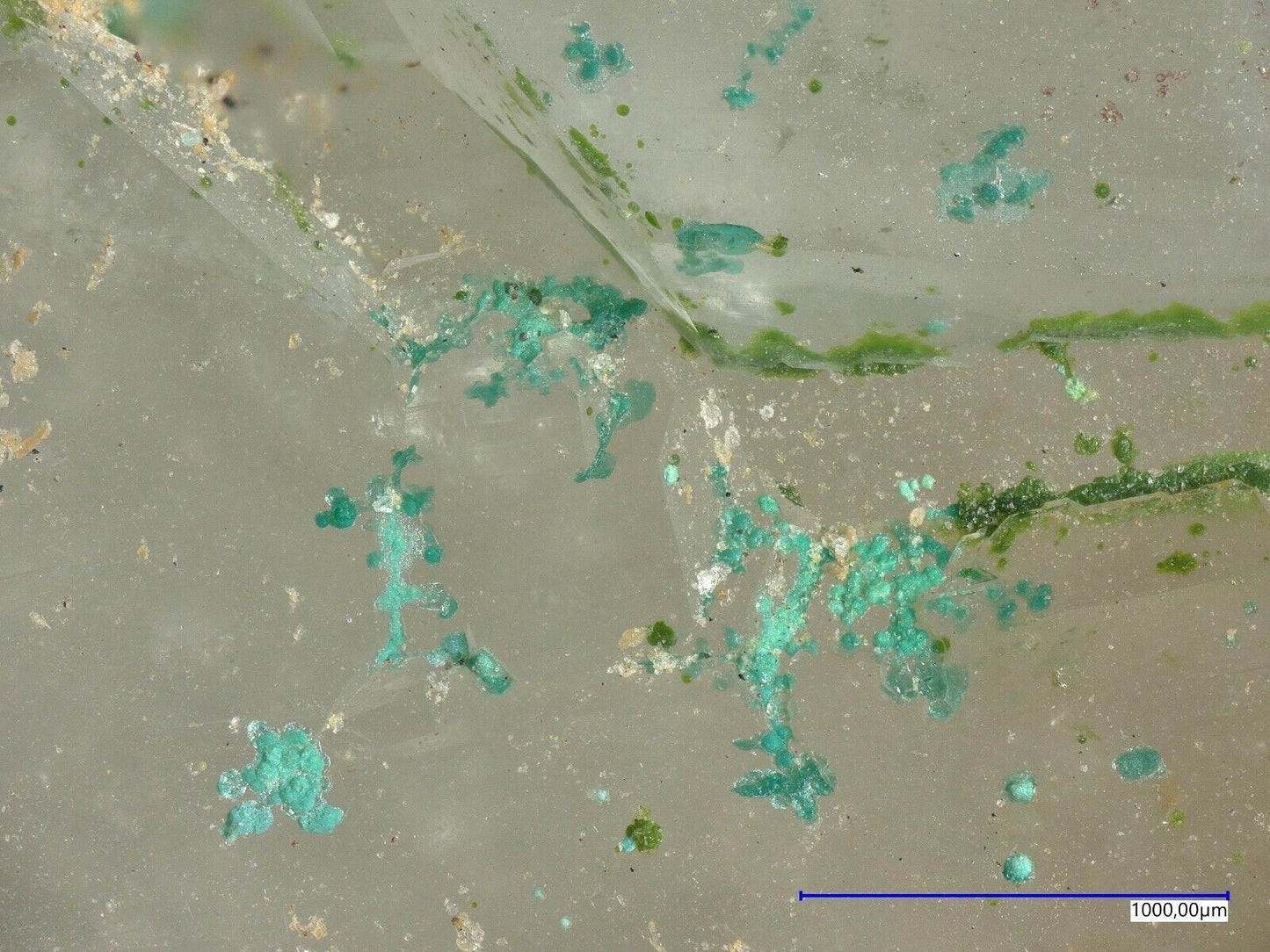 Mojaveit Bird Nest Drift, Otto Mountain, Baker, Kalifornien, USA