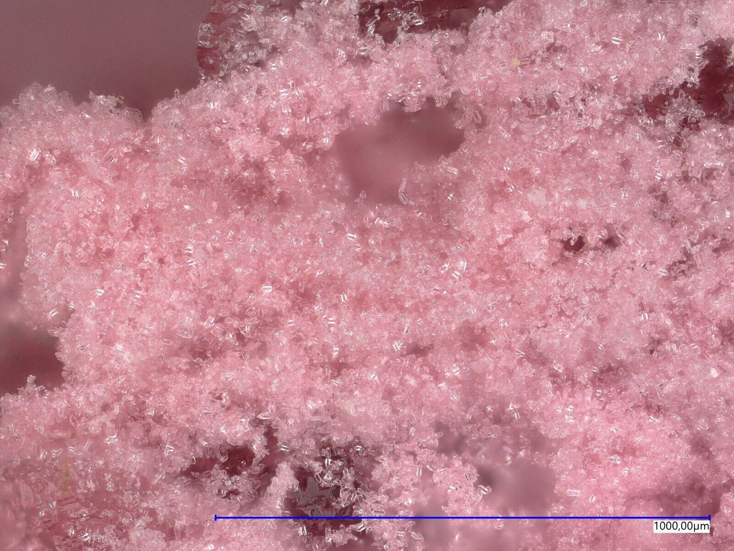 Tinsleyit Morro Mejillones, Mejillones, Chile